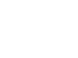 LANEZ Immobilien